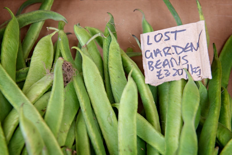 West Coffee and Harbour Arts Centre